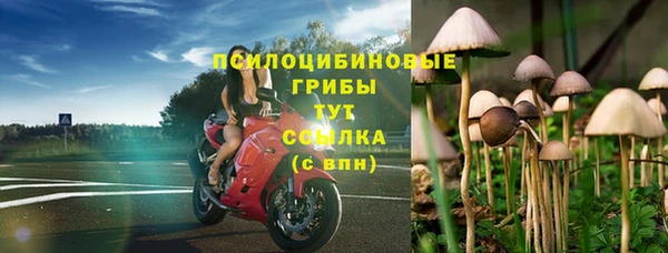 тгк Беломорск